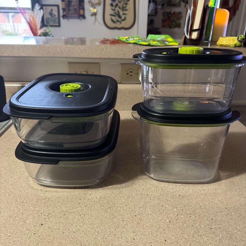 Set of 4 FoodSaver preserve and marinate containers